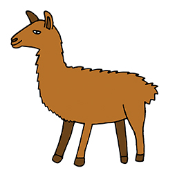 Lama