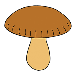 Champignon