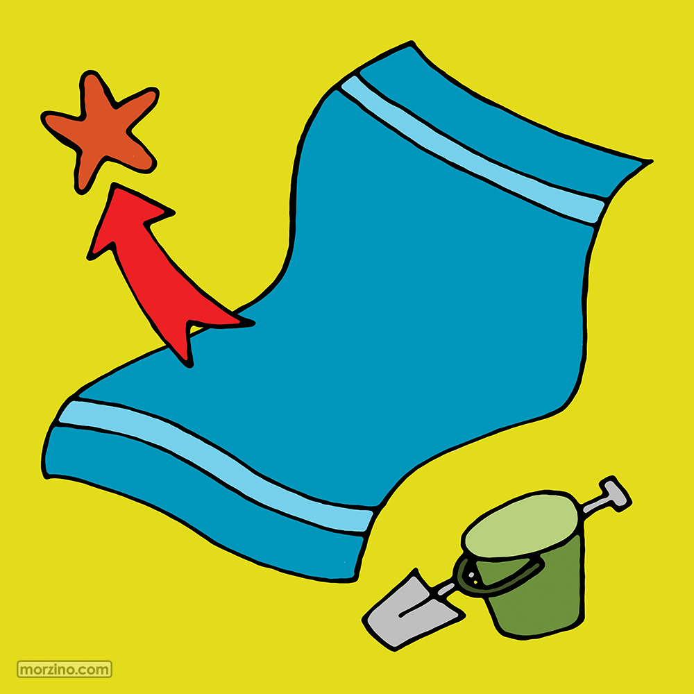 Bildwörterbuch: Seestern