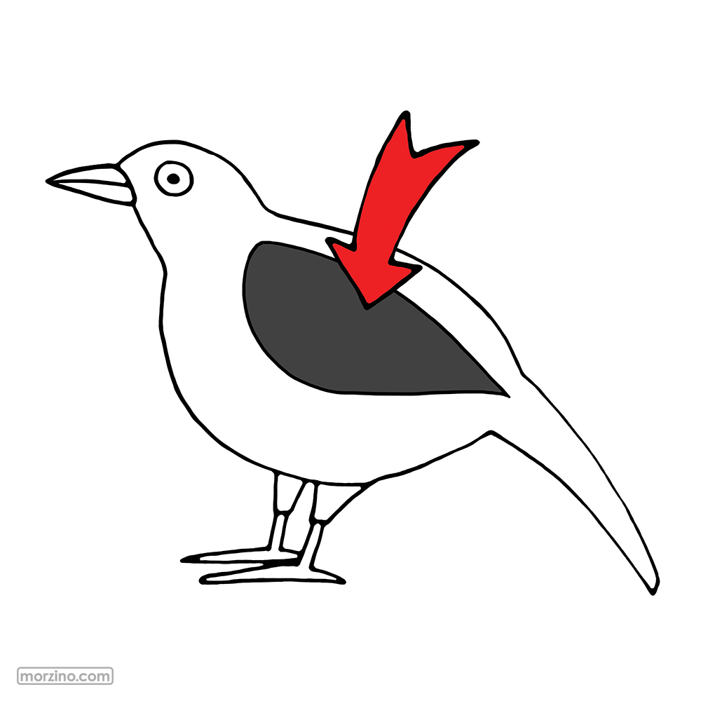 Bildwörterbuch: Flügel