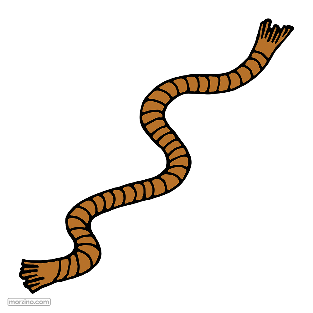 Bildwierderbuch: Seel