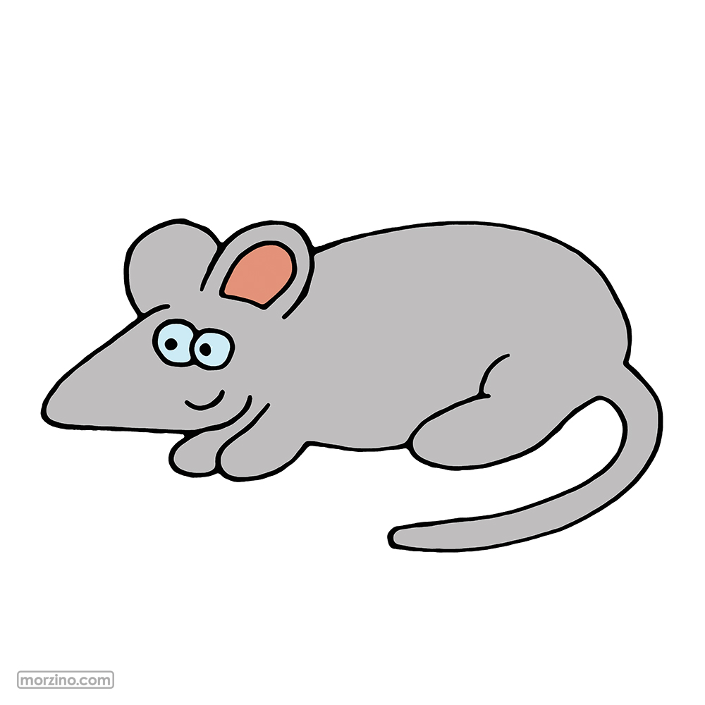 Bildwörterbuch: Maus