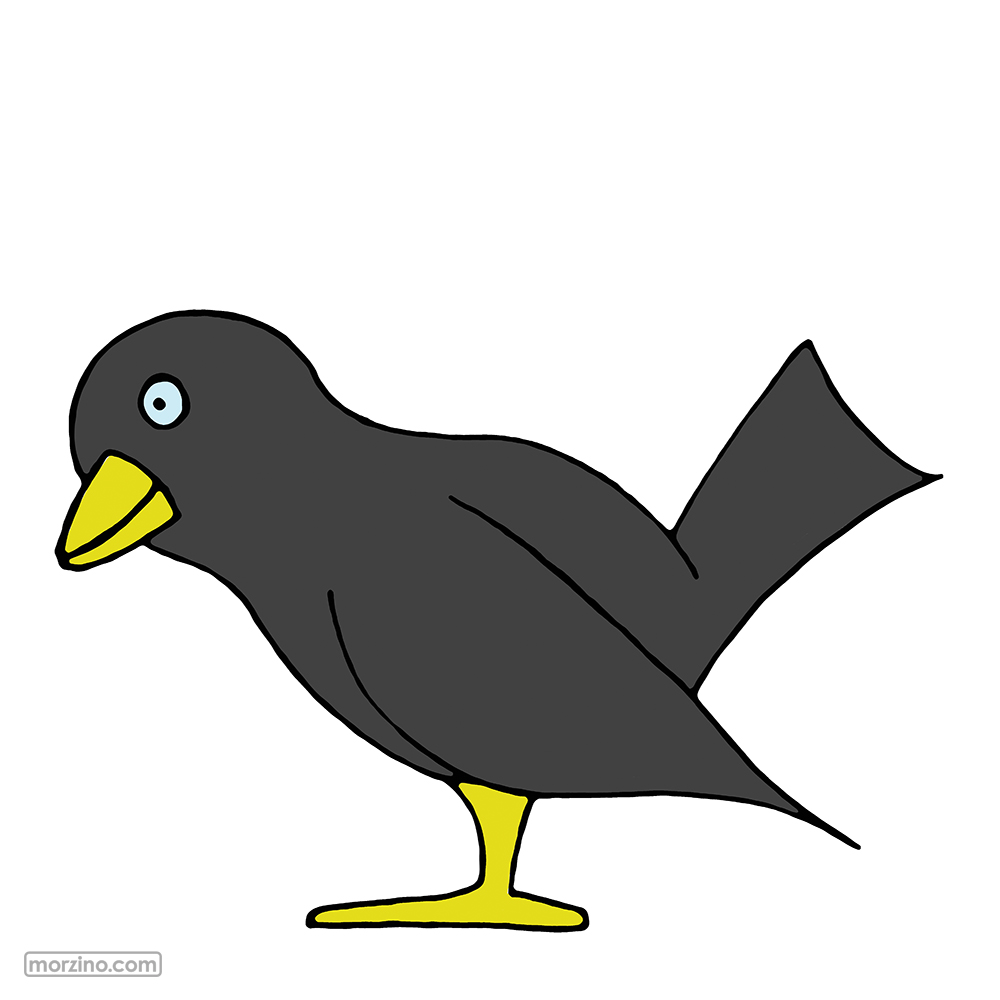 Bildwörterbuch: Vogel