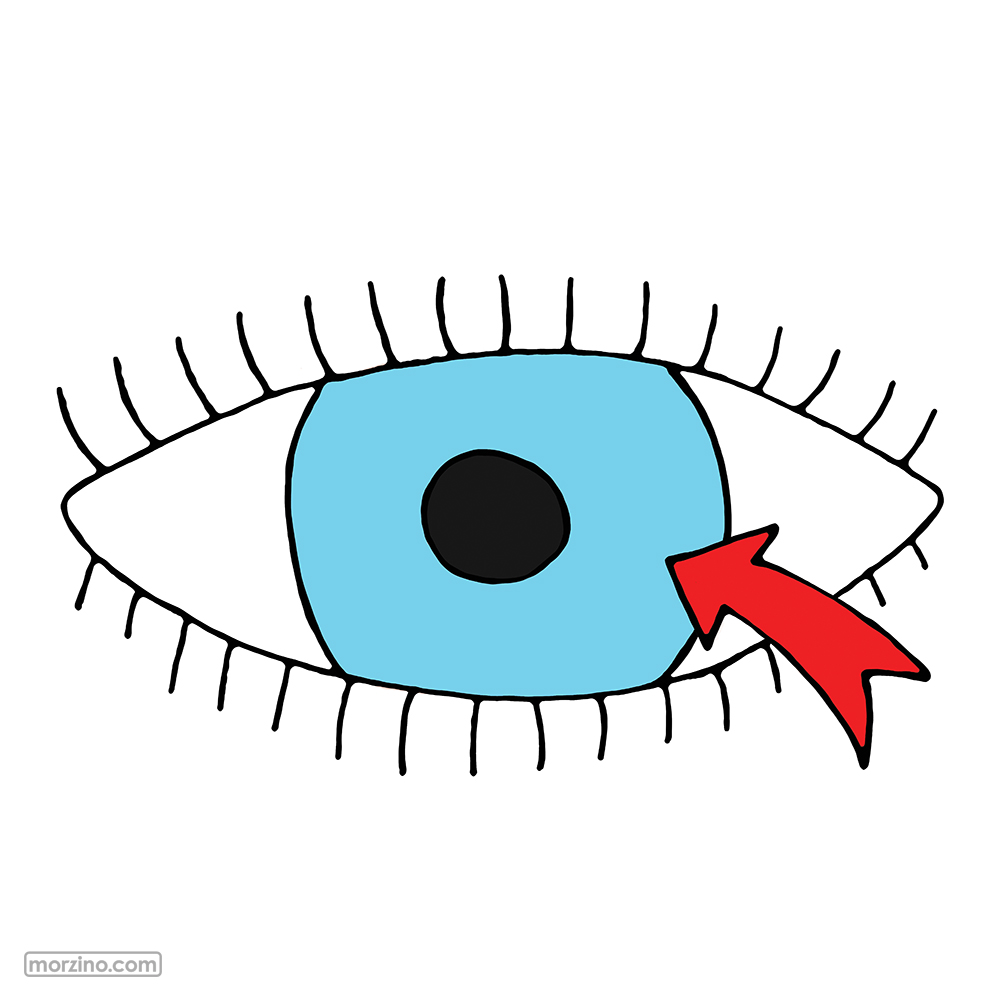 Bildwierderbuch: Iris