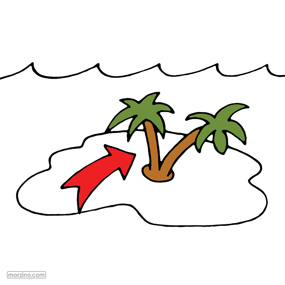 Bildwierderbuch: Palmen