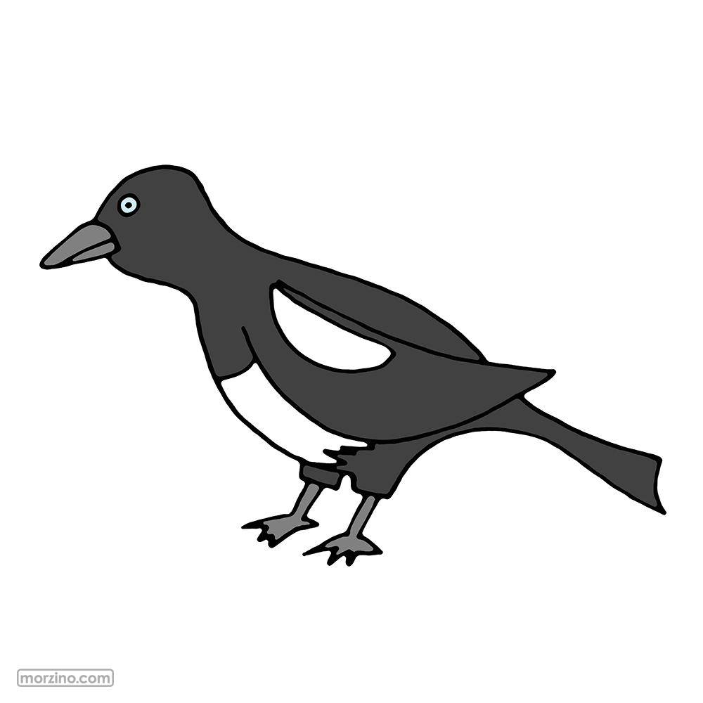 Bildwierderbuch: Elster