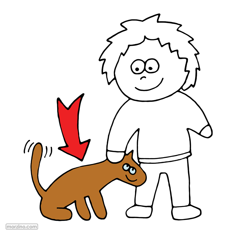 Bildwierderbuch: Hond