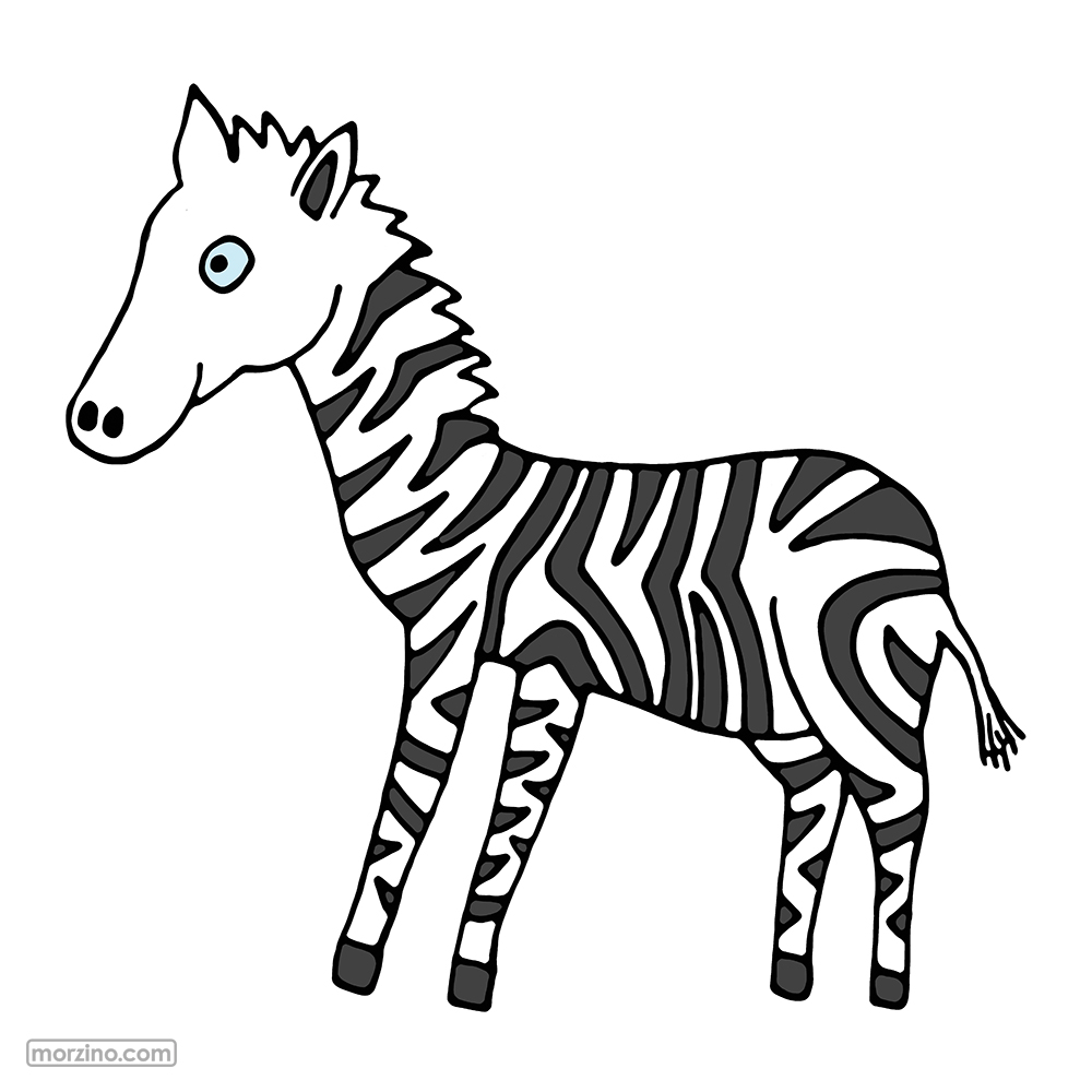 Bildwörterbuch: Zebra