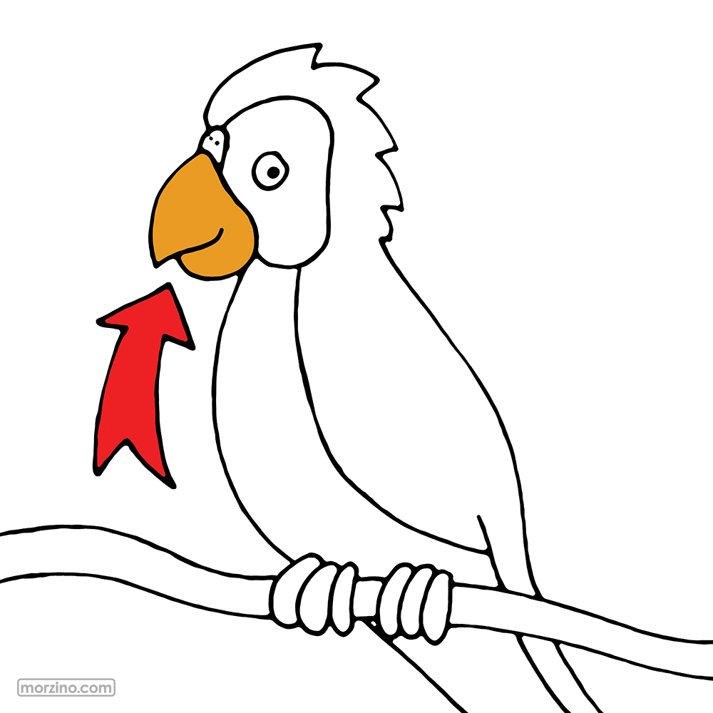 Bildwörterbuch: Schnabel