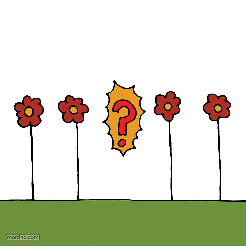 Bildwierderbuch: Feelen