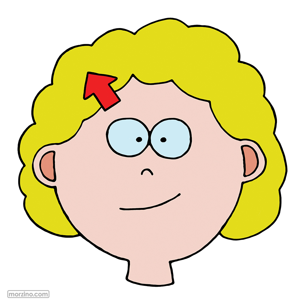 Bildwörterbuch: Haare