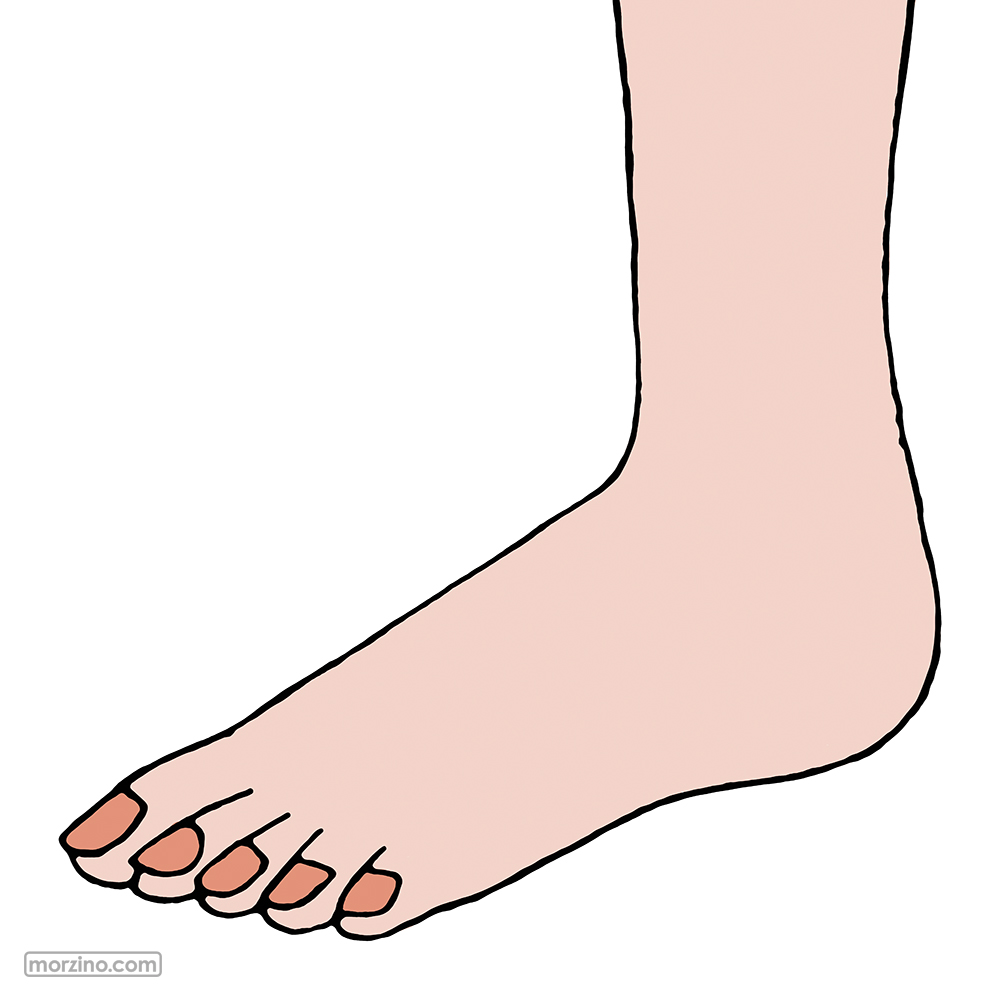 Bildwierderbuch: Fouss