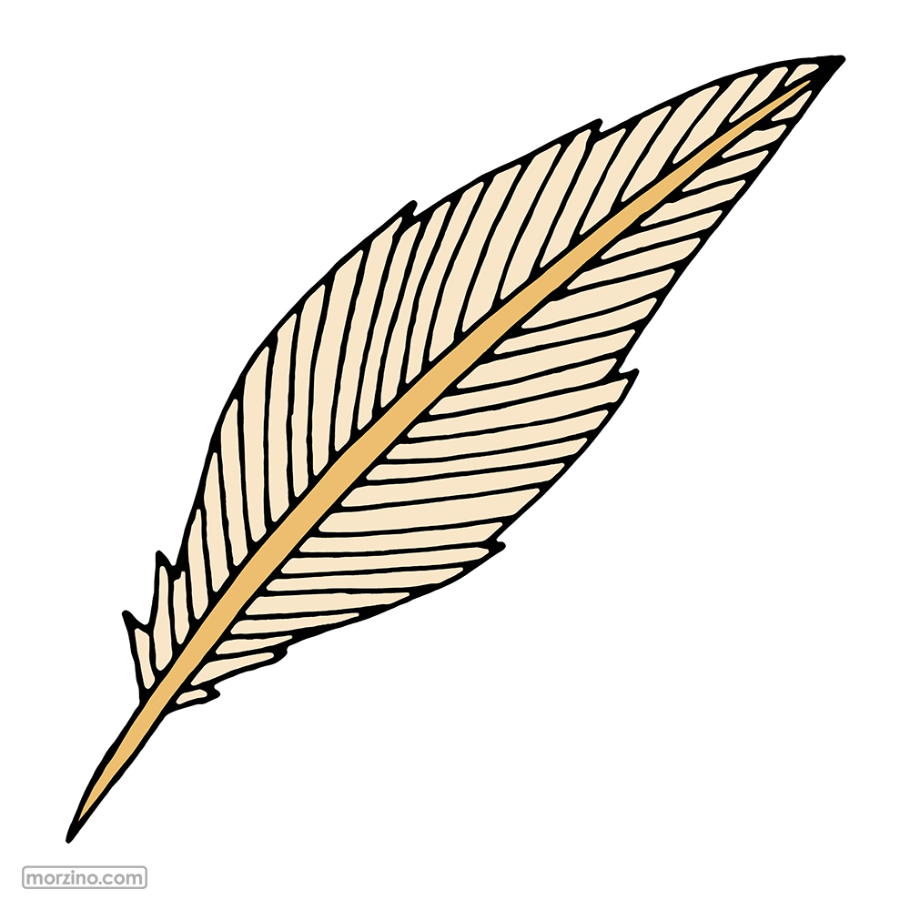 Bildwörterbuch: Feder