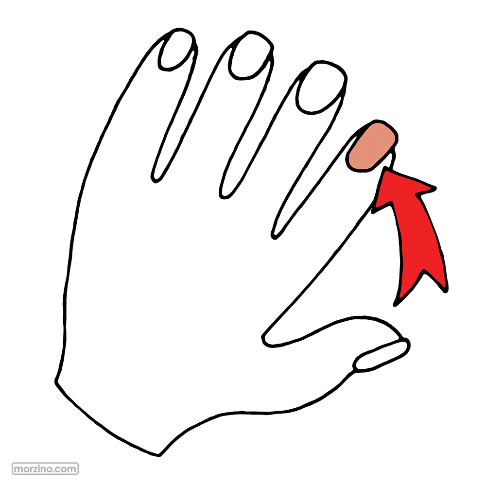 Bildwierderbuch: Nol