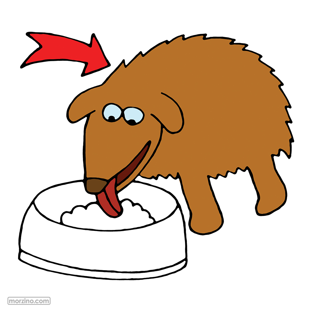 Bildwierderbuch: Hond