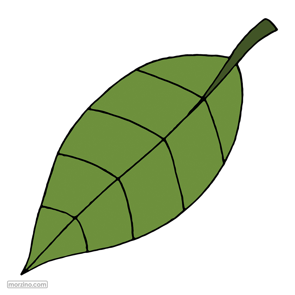 Bildwörterbuch: Blatt