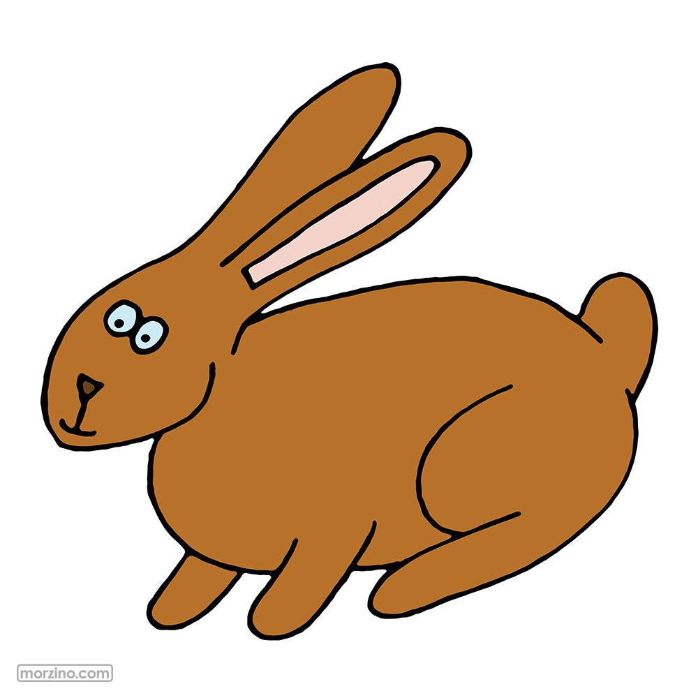 Bildwörterbuch: Hase