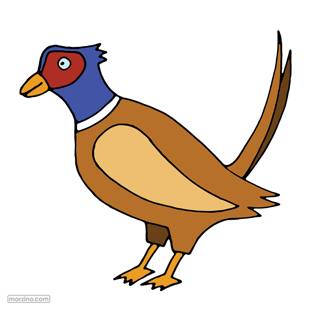 Bildwörterbuch: Fasan