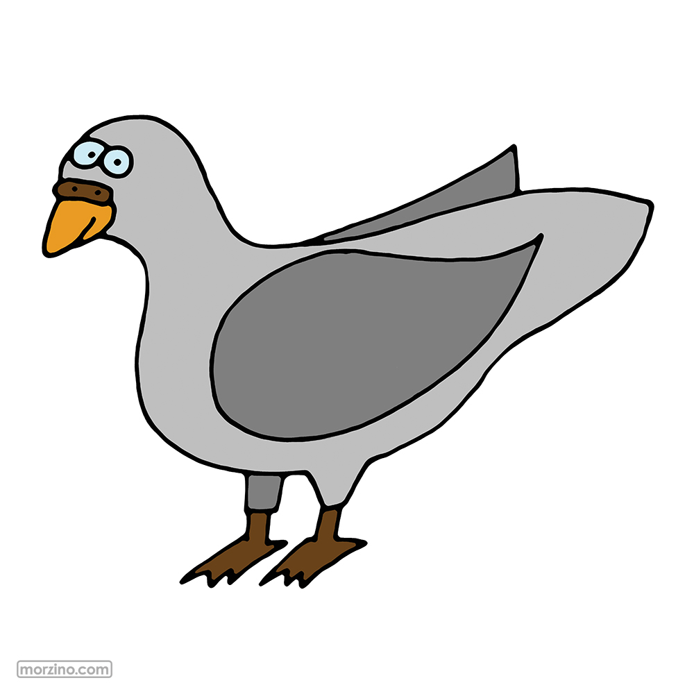 Bildwörterbuch: Taube