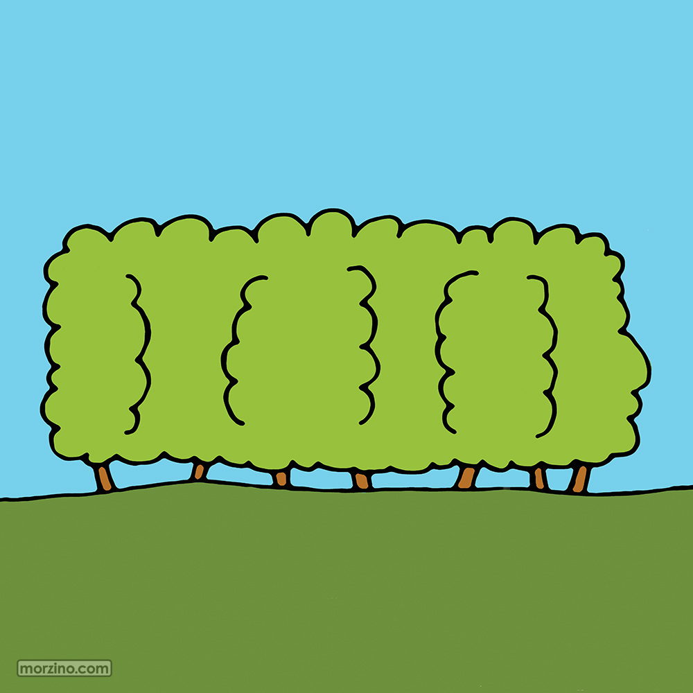 Bildwierderbuch: Heck