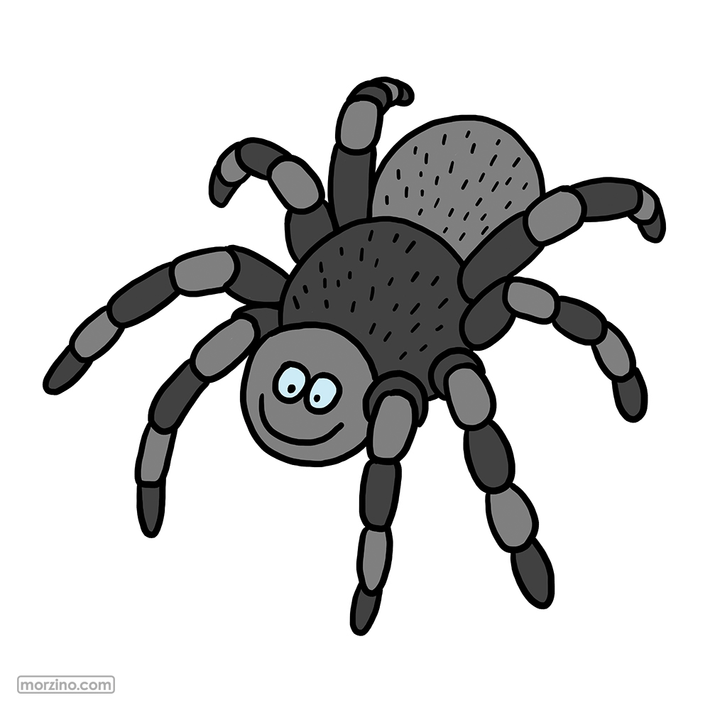 Bildwierderbuch: Spann