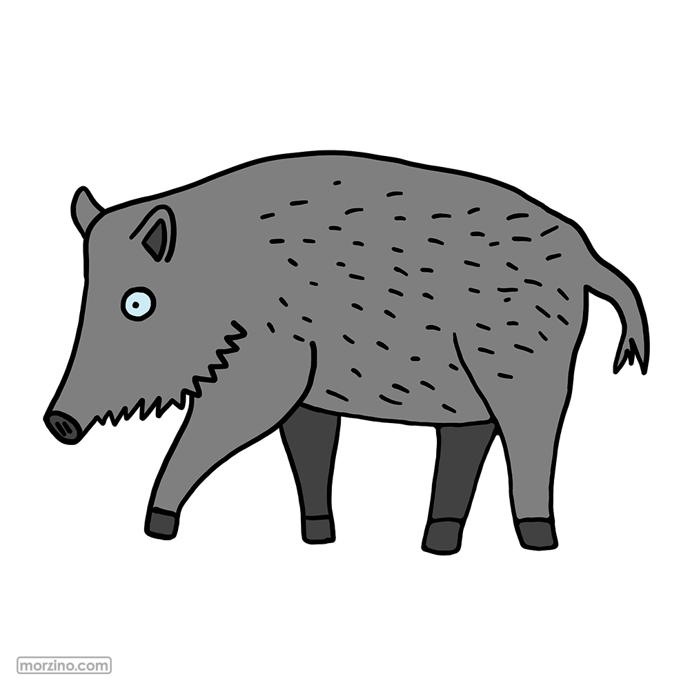 Bildwörterbuch: Wildschwein