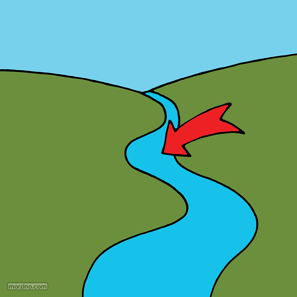 Bildwierderbuch: Floss