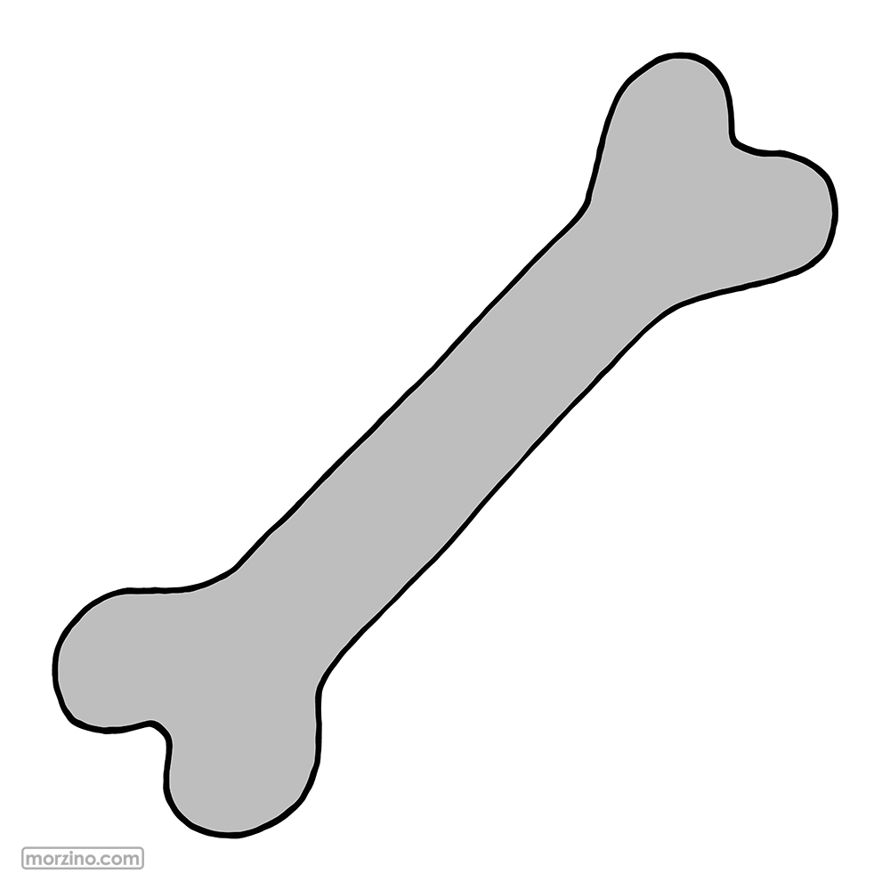 Bildwörterbuch: Knochen