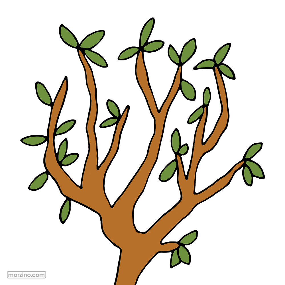 Bildwörterbuch: Strauch