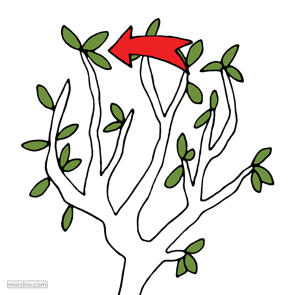 Bildwörterbuch: Blätter