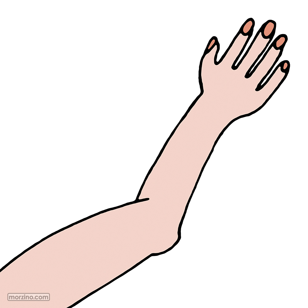 Bildwierderbuch: Aarm