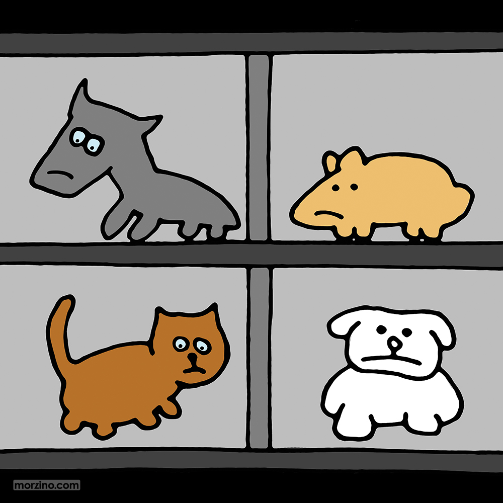 Bildwierderbuch: Déierenasyl