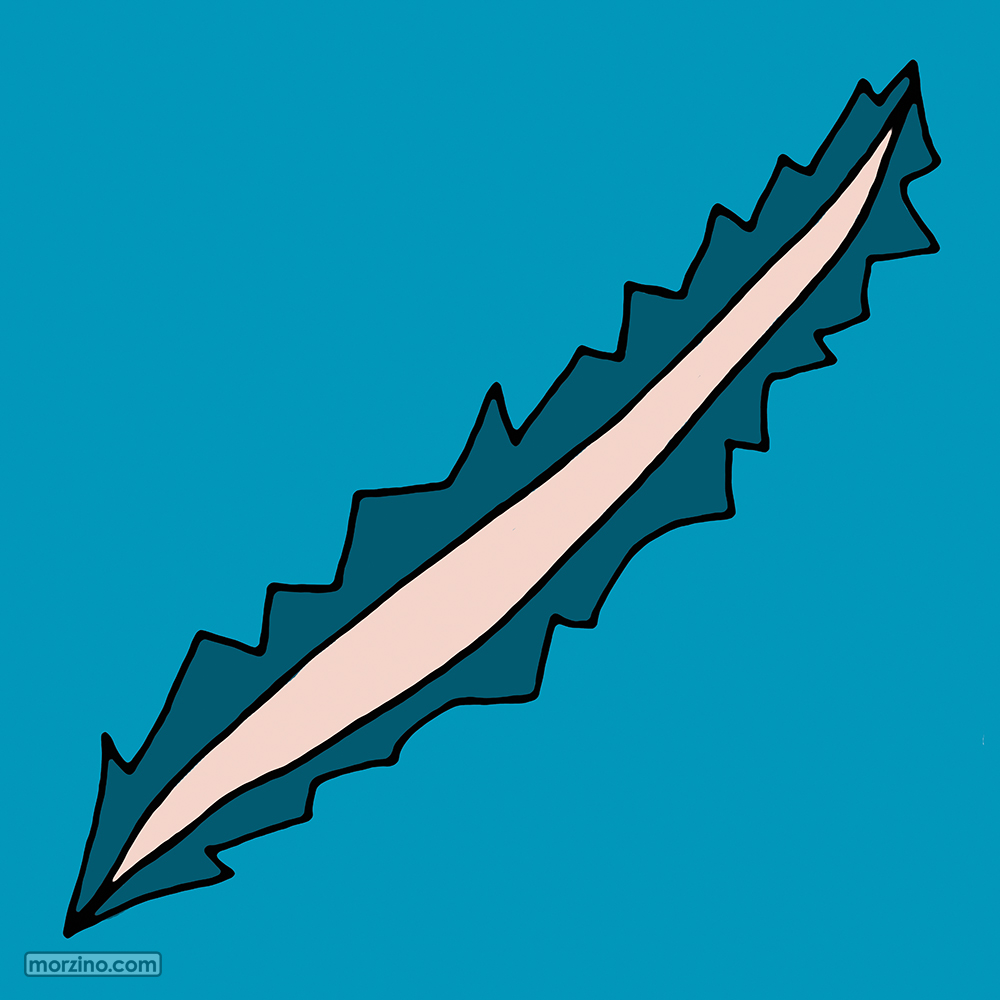 Bildwierderbuch: Rass