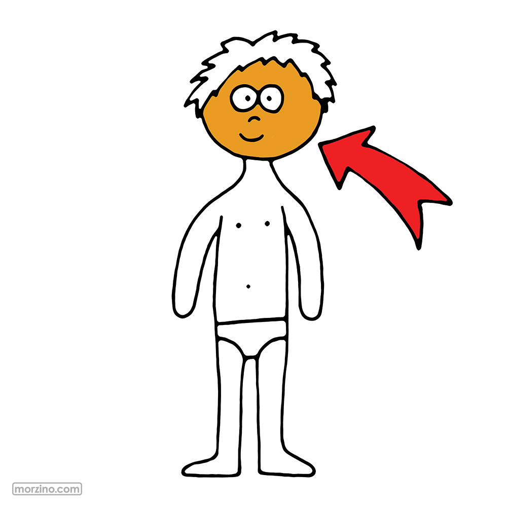 Bildwierderbuch: Kapp