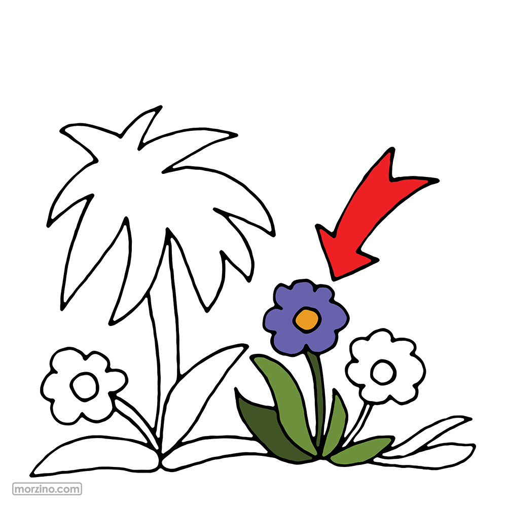 Bildwierderbuch: Blumm