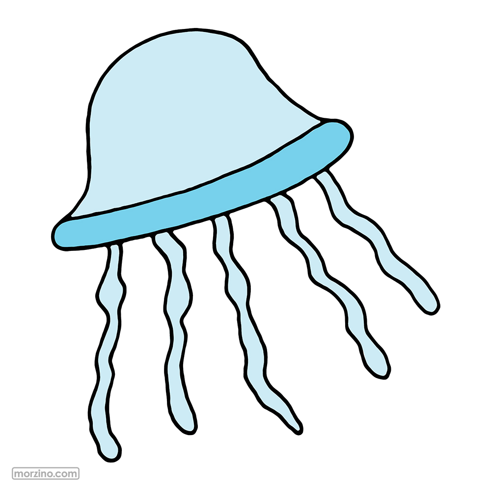 Bildwörterbuch: Qualle