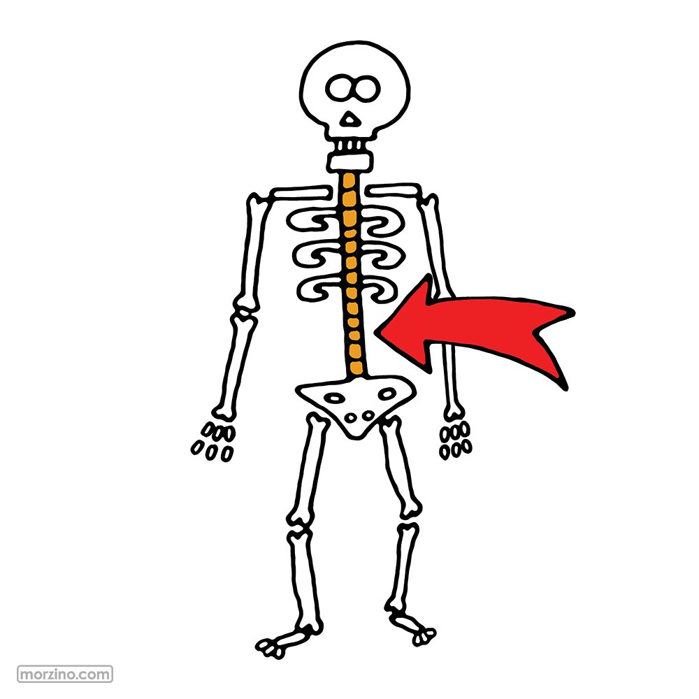 Bildwierderbuch: Wirbelseil