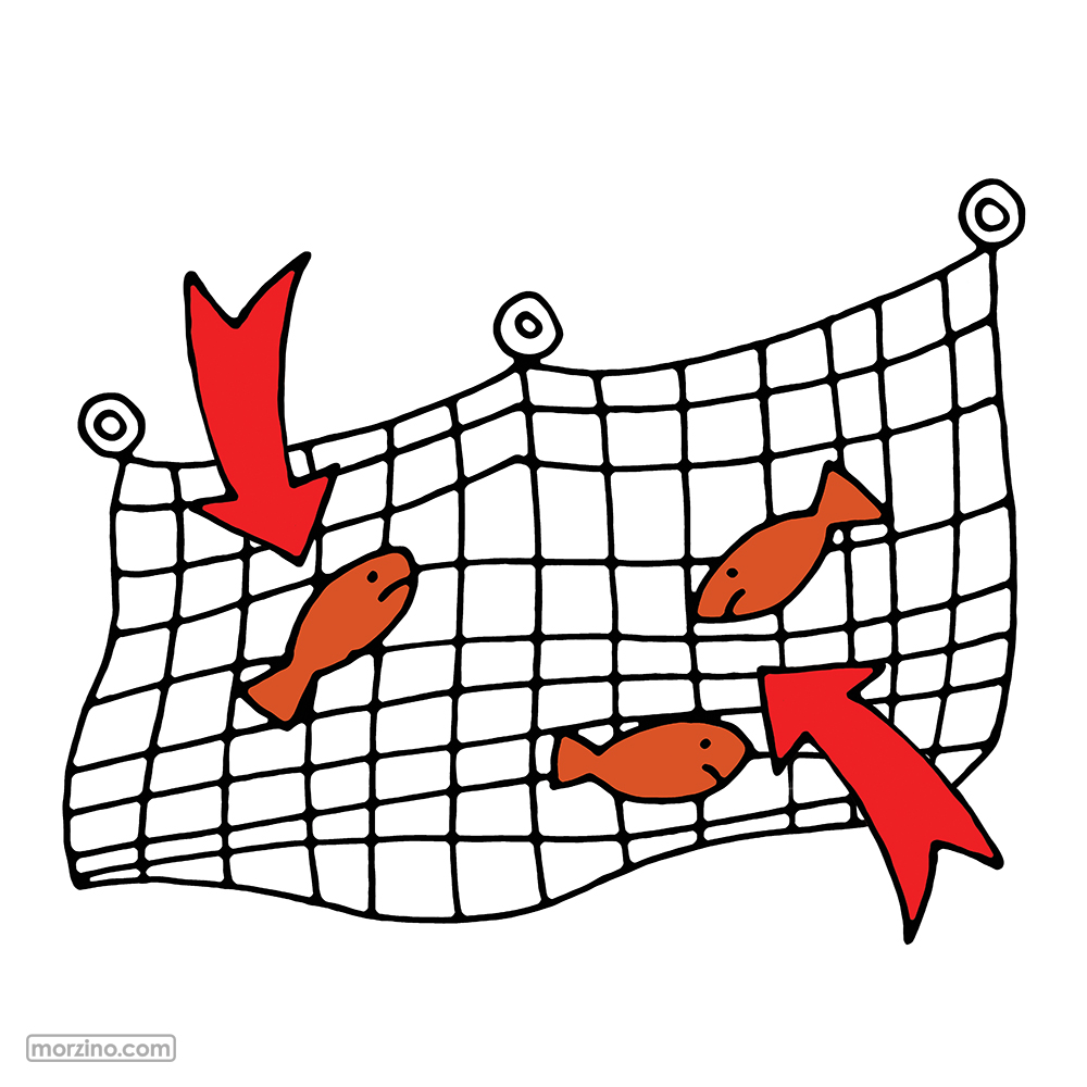 Bildwörterbuch: Fische