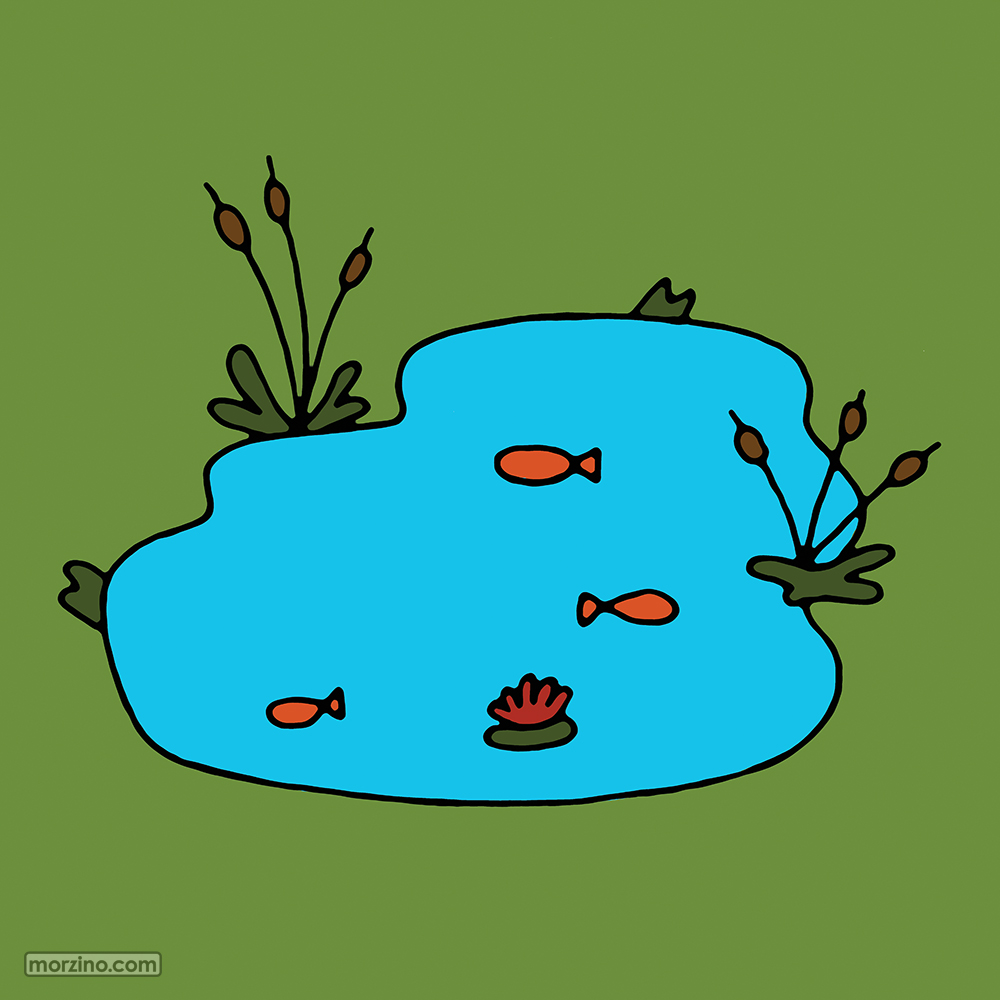 Bildwierderbuch: Weier