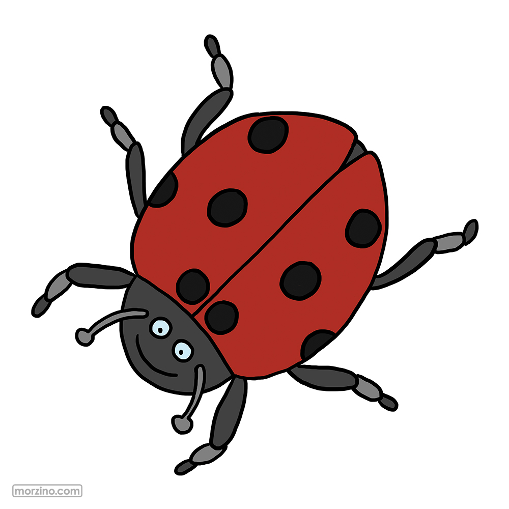 Bildwierderbuch: Himmelsdéierchen