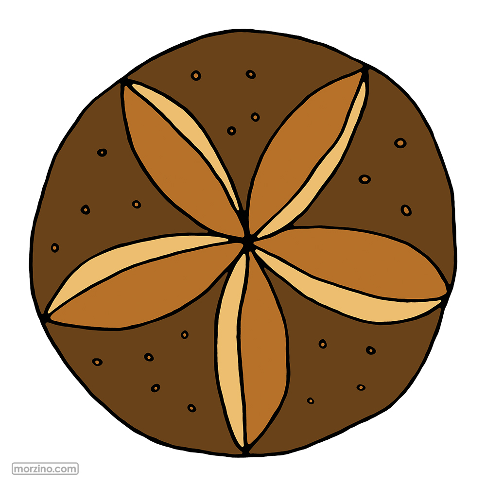 Bildwörterbuch: Vollkornbrötchen