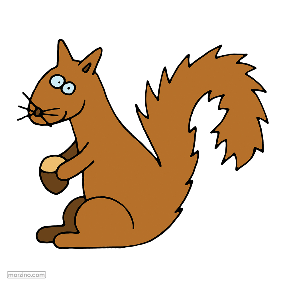 Bildwörterbuch: Eichhörnchen