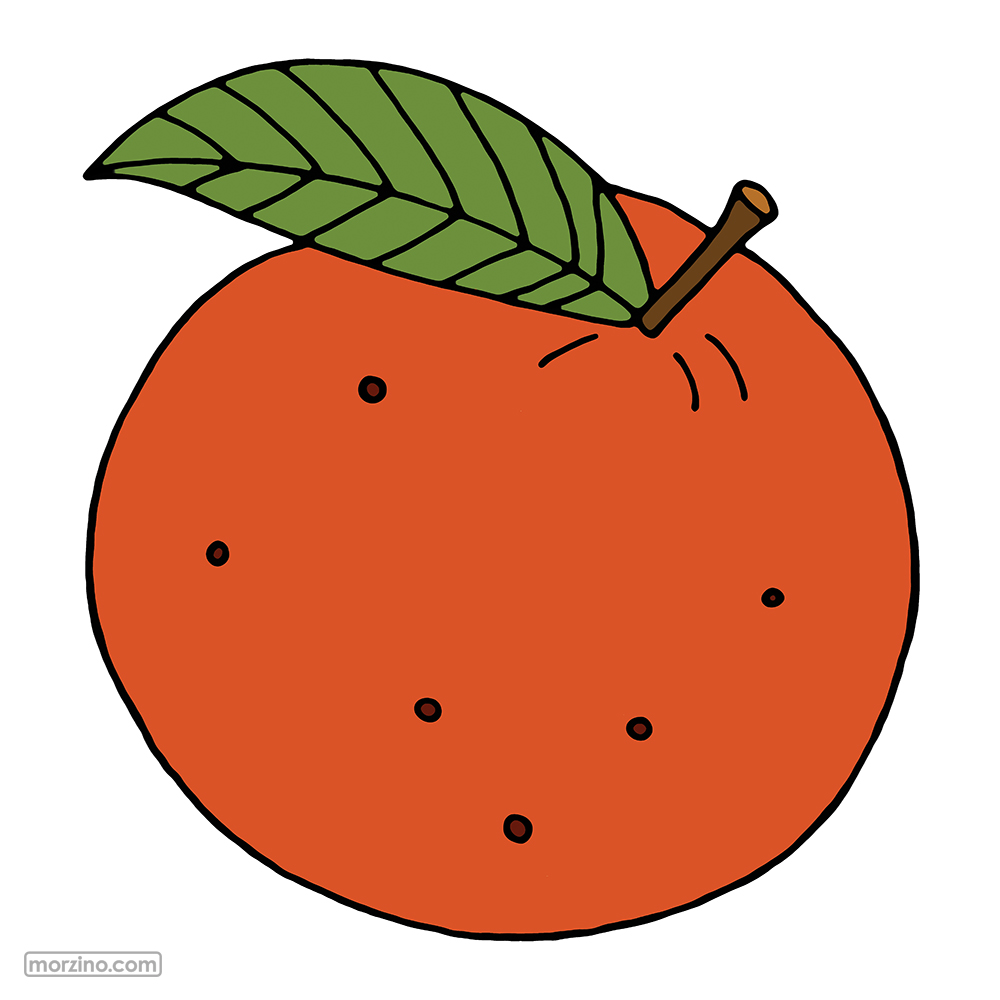 Bildwörterbuch: Orange