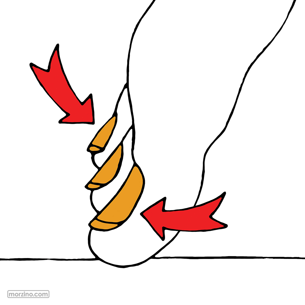 Bildwörterbuch: Zehennägel