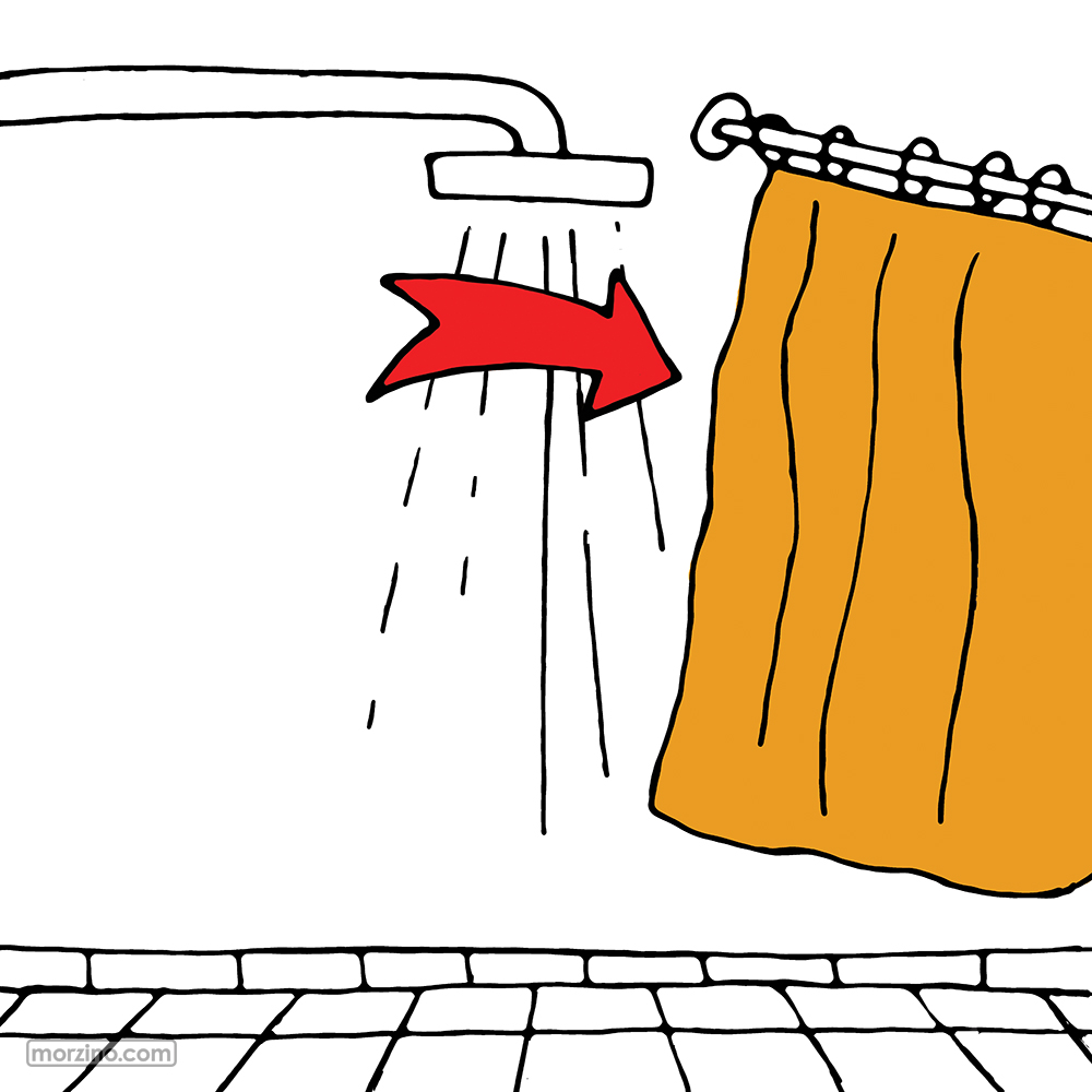 Bildwierderbuch: Duschrideau