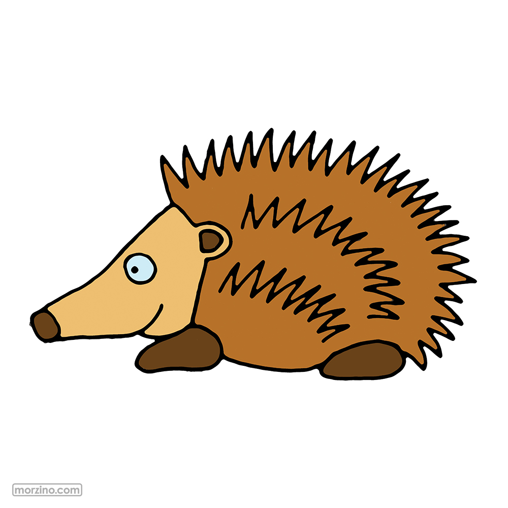Bildwierderbuch: Igel