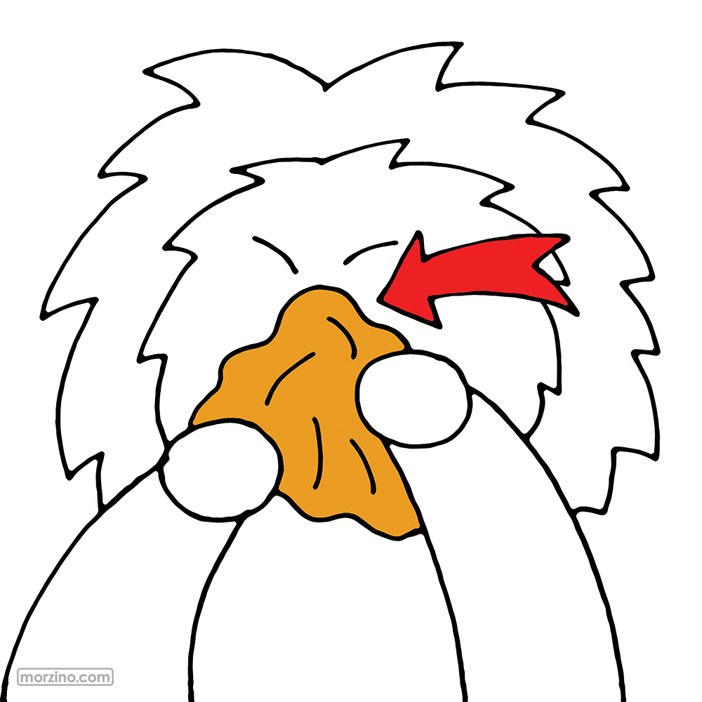 Bildwierderbuch: Nuesschnappech