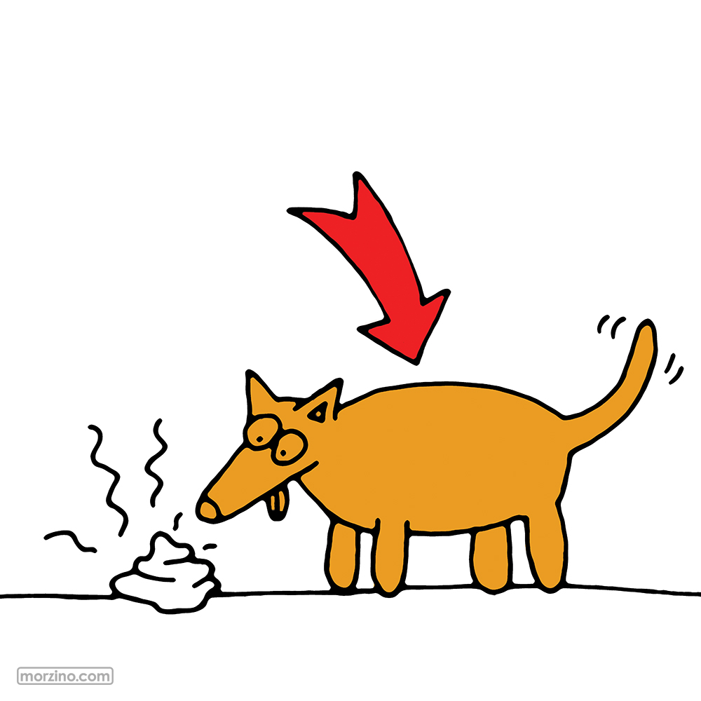 Bildwierderbuch: Hond