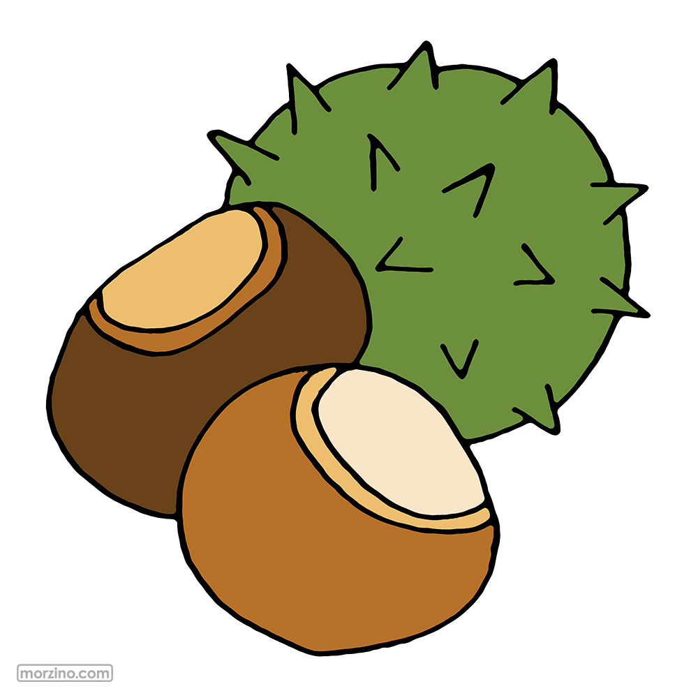 Bildwierderbuch: Käschten