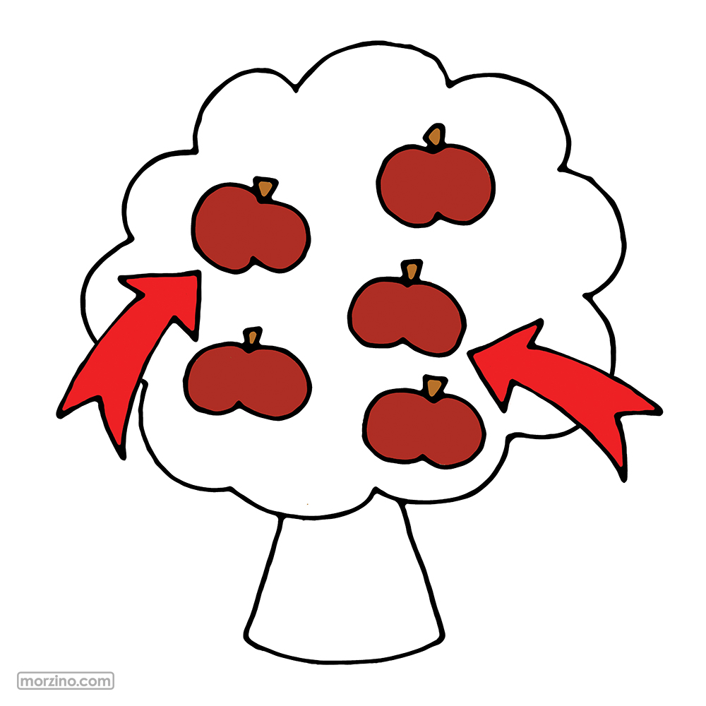 Bildwörterbuch: Äpfel